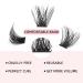 78pcs Crislashes DIY Individual Lashes D Curl Mix 8-16mm - Reusable, Lightweight, Dramatic Look Lashes - Home Use (H-D Curl Mix 8-16mm) - Buy Online on GoSupps.com