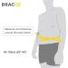 Bracoo Waist Trimmer Wrap - Sweat Sauna Slim Belly Belt for Men and Women | Abdominal Waist Trainer for Weight Loss & Core Stability | Metabolic Rate Booster | SE20 - Buy Online on GoSupps.com