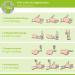 Lisacare Self-Adhesive Medical Wrap Bandage - 12 Rolls 5cm Wide - Fast First Aid - Color & Motif Selection (Red) - Buy Now! - Buy Online on GoSupps.com