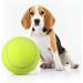LUOEM Large Tennis Ball for Pets - 9.5 Inch Outdoor Sports Ball for Dogs | Durable & Fun Playtime - Buy Online on GoSupps.com