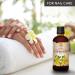 St Johns Wort Oil 6.8 oz - Hypericum Perforatum Carrier Oil for Skin, Hair, Body, Face & Bath - Buy Online on GoSupps.com