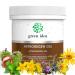 Green Idea - Artror rain gel |Extra strong and highly concentrated |Sports gel with legwell Arnika horse chestnuts |For muscle and joint pain |Menthol gel |Fast regeneration 250 ml
