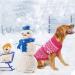 Argyle Dog Sweater - Warm Winter Coat for Small, Medium, and Large Dogs - Pink Pet Clothing for Boys and Girls - Buy Online on GoSupps.com