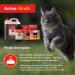Anima Strath 100ml - Natural Immune Support & Energy Booster | International Shipping Available - Buy Online on GoSupps.com