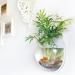 Sweetsea Hanging Wall Mounted Fish Bowl Betta Tank Aquarium - Clear (Medium) 0.5 Gallon - Buy Online on GoSupps.com