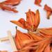 LWXLJMJZC-Lily Dried Lily Herbal Tea -Blooming Flower Tea 1.75oz/50g 50g Lily Flower Tea - Buy Online on GoSupps.com