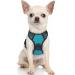 Rabbitgoo dog harness Small dog anti -train cuddling dog with control no pull adjustable dog dishes large dogs breathable reflex stripes breast harness dog safe guidance blue green xs XS (1 Pack) blue -green