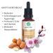 Organic Almond Oil - Pure Cold Pressed | Nature Certified | Vegan Body & Hair Oil for Dry Skin | 25ml - Buy Online on GoSupps.com