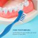 Kopinma 12 Pack Denture Toothbrush - Hard Double-Sided Denture Cleaning Brush for Effortless Care & Maintenance - Buy Online on GoSupps.com