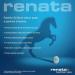 Buy Renata CR2032 Watch Batteries - 100 Pcs | Long-lasting International Shipping - Buy Online on GoSupps.com