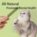 Cat Grass Teething Sticks for Indoor Cats Natural Cat Grass Sticks Cat Grass Chew Stick Chicken Cat Grass Tooth Grinding Stick for Hairball Removal (3-Pack) - Buy Online on GoSupps.com