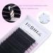 Lash Extensions 0.05 D Curl 15-20mm | Easy Fan Volume Lashes | Rapid Blooming Eyelash Extensions for Stunning Volume - Buy Online on GoSupps.com