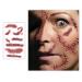 Realistic Halloween Makeup Tattoos - Fake Stitches, Wound Scars for Kids, Men, Women - Zombie Face Sticker - Buy Online on GoSupps.com