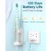 Sonic Electric Toothbrush for Adults and Kids - 8 Replacement Heads, 5 Brushing Modes, 120 Days of Use, 3-Hour Fast Charge - Light Green - Buy Online on GoSupps.com