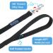 Vivifying 6m Waterproof Tow Line for Dogs with Padded Handle - Perfect for Recall Training Hiking Swimming Beach & Lake (Black) - Buy Online on GoSupps.com