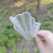 CALLARON Garden Fruit Mould 2pcs Vegetable Shaping Mold Clear Fruit Star Cucumber Mold Garden Cucumber Mold Flower Shape - Buy Online on GoSupps.com
