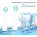 DHMXDC Electric Toothbrush Brush Head x 4 with Hygienic Cap - Compatible with DHMXDC Sonic Toothbrushes - Buy Online on GoSupps.com