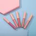 Buy Matte Lipstick Set - 5pcs Mini Waterproof Long Lasting Lipstick & Lipgloss - International Shipping Available - Buy Online on GoSupps.com