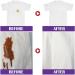 2PCS Active Enzyme Laundry Stain Remover Stain Remover for Clothes Garment Stubborn Stain Cleaner Oil Remover White Shirt Guardian Active Enzyme Detergent Liquid Grease Remover for All Textiles(120ml) - Buy Online on GoSupps.com