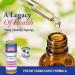 Heritage Store Egyptian Oil 8 fl oz - Natural Moisturizer & Skin Care - Buy Online on GoSupps.com