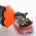 Buy Tecatty Pets Calant Adjustable Anti-Digging Cat Collar | Lightweight Elizabethan Collar for Cats (M Orange) - International Shipping Available - Buy Online on GoSupps.com