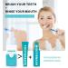 Iunser Tooth Cleaning Foam Mousse Fresh Breath & Anti-Caries Toothpaste for Cats | 50ml - One Size 1 Pack - Buy Online on GoSupps.com