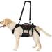 Oneigris Dog Harness & Invictus Support Dishes for Medium/Large Dogs - Adjustable & Safe with 3 Handles - Buy Online on GoSupps.com
