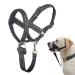 Barkeless dog collar no pulling headhaft with soft upholstery stable dog half for large merdium small dogs free training instructions included in the scope of delivery L black pad/black