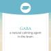 Buy Natural Factors Stress-Relax Pharma GABA 100mg - 60 Chewable Tablets for Stress Relief - Buy Online on GoSupps.com