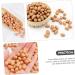 ABOOFAN 5pcs 1 Educational Peanut Prop Peanut Kernels Prop Food Toy Lifelike Peanut Artificial Peanut Kernels Peanut Model Fake Nut Ornament Kitchen Realistic Food Play Decoration Fake Pvc - Buy Online on GoSupps.com