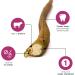Only One Treats Bully Sticks 6 Standard Beef Dental Sticks for Dogs Dental Health Natural and Fully Digestible Dog Chew Training Treats for Small to Medium Pets and Gentle Chewers (20x25g) 20 count (Pack of 1) 6" (Pack of 20) - Buy Online on GoSupps.com