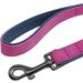 Didog Personalized Padded Leather Dog Collar with Engraved Name Tag - Soft & Durable for Small to Medium Dogs (40-50 cm Purple Set) - Buy Online on GoSupps.com