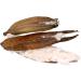 Buy JR Cotton Pod (Kapok Pod) - Set of 4 | Eco-Friendly & Sustainable Shipping Worldwide - Buy Online on GoSupps.com