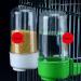 2PCS Automatic Bird Feeder and Drinker Set for Cage - Ideal for Parrots, Budgies, Lovebirds, and Cockatiels - Buy Online on GoSupps.com
