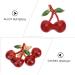 VILLCASE 20 Pcs Fruit Drop Oil Pendant Diy Charms Charm Necklace Loose Miniture Decoration Bottle Accessories Charms for Necklace Making Trendy Necklace Alloy Supplies Cherry - Buy Online on GoSupps.com