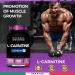 Bandini L-CARNITINE 1000mg Carnipure | Vegan Tablets - 100 Days Supply | High Strength L Carnitine Tartrate Supplement | Boosts Energy & Metabolism | Reduces Fatigue | Pre-Workout Formula - Buy Online on GoSupps.com