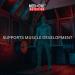 Medi-Evil Nutrition Whey Dynamic Protein Powder Muscle Development Salted Caramel Flavour 600g 20 Servings Salted Caramel 20 Servings (Pack of 1) - Buy Online on GoSupps.com