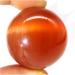 Natural Sphere 1pc Natural Gemstone Spheres Quartz Crystal Cat Eye Stones Ball for Gift for Decoration Gift Decoration feng Shui. (Color : 45-55mm) - Buy Online on GoSupps.com