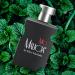 Zermat Mio by Alicia Machado Fragrance for Him - Seductive Woodsy Scent with Mint and Sandalwood Notes - Buy Online on GoSupps.com