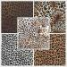 ZAIONE Leopard Heat Transfer Vinyl 5 Pack - Brown Cheetah Print HTV Iron on Sheets - Animal Pattern Bundle for DIY Crafts - Buy Online on GoSupps.com