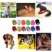 12 Pack Self Adhesive Bandage Wrap for Pets - 2 x 5 Yards Each - Assorted Colors - Buy Online on GoSupps.com