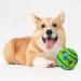 Interactive Giggle Ball for Dog Squeaky Toy Keep Your Dog Happy All Day Dog Ball Toys for Large Medium and Small Pet Cat Dog Relieve Anxiety and Boredom - Buy Online on GoSupps.com