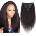 12" Clip in Hair Extension Human Hair Double Weft #1B Natural Black (105g)