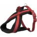 Buy Premium Touring Harness Orchid M - Best Quality & Fast International Shipping - Buy Online on GoSupps.com