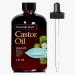 Hair Oil 4 Fl Oz - Castor Oil Infused with Rosemary Peppermint Grapefruit & Ginger Oil - for Thicker Fuller & Healthier Looking Hair