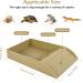 Alongen Tortoise Water Dish Tortoise Food Dish Anti Slip Reptile Pool Bowl with Ramp Reusable Reptile Pool Tortoise Habitat Accessories for Turtles Horned Frogs and Lizards(Brown) - Buy Online on GoSupps.com