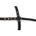 Karlie Rondo Black Leash - 200 cm Riveted Design Durable 18 mm Width - Ideal for International Shipping - Buy Online on GoSupps.com