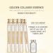 VENZEN Gold Protein Peptide Essence Serum for Combination Skin | 5x15ml | Deep Moisturizing & Skin Improvement - Buy Online on GoSupps.com