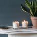 Neom Organics London 185g Scented Candle - Boost Your Energy | Pack of 1 - Buy Online on GoSupps.com