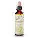 Bach Original Flower Remedies Honeysuckle - Embrace The Now - Natural Homeopathic Flower Essence for Emotional Balance - Vegan Gluten Free Sugar Free - 20mL Dropper